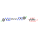 Chlorhexidine (digluconate)