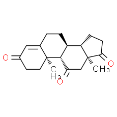 Adrenosterone