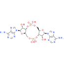 c-di-AMP