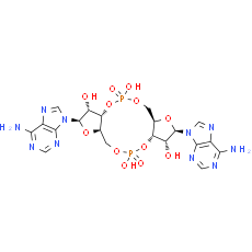 c-di-AMP