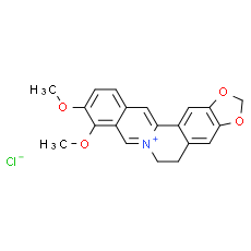 Berberine (chloride)