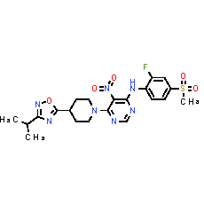 AR 231453