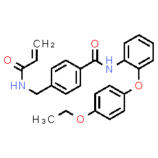 EN4 MYC inhibitor