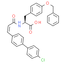 QQN52061