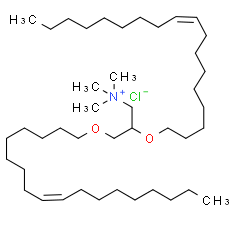 DOTMA