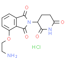 Thalidomide 4'-ether-alkylC2-amine hydrochloride - CAS