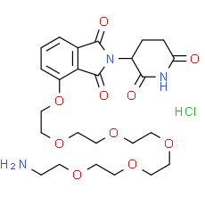 Pomalidomide-PEG6-NH2 hydrochloride