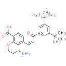 Ch55-O-C3-NH2