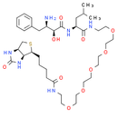Biotin-BS