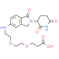 Glutarimide-Isoindolinone-NH-PEG2-COOH