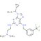 NCC007