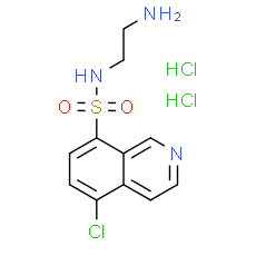CKI-7 - CAS