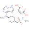 Oclacitinib maleate