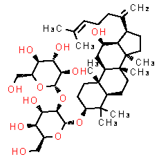 Ginsenoside Rk1 - CAS