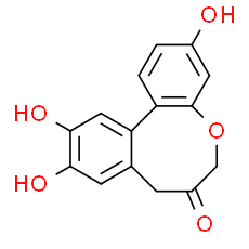 Protosappanin A - CAS