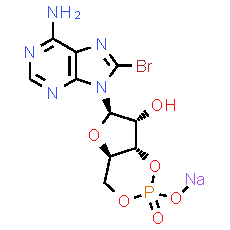 8-Bromo-cAMP sodium salt - CAS
