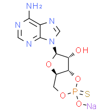 Sp-cAMPS sodium salt