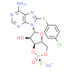 Rp-8-CPT-cAMPS sodium