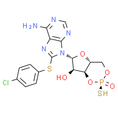 Rp-8-CPT-cAMPS - CAS