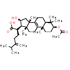 Pachymic acid - CAS