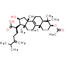 Pachymic acid