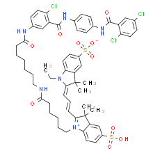 IHR-Cy3