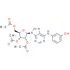 IMM-H007