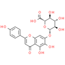 Scutellarin