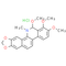 Angoline hydrochloride