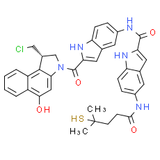 DC41 - CAS