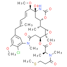 S-methyl DM1