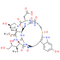 β-Amanitin - CAS# 21150-22-1