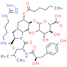 Aeruginosin 865 - CAS