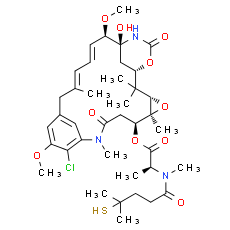Maytansinoid DM4 - CAS