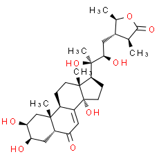 Cyasterone - CAS