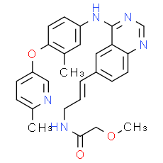 (E/Z)-CP-724714 - CAS
