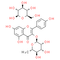 Kaempferol-3-O-glucorhamnoside