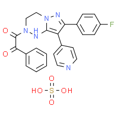 FR 167653