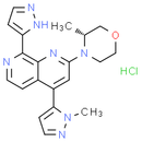 BAY-1895344 HCl, ATM inhibitor.