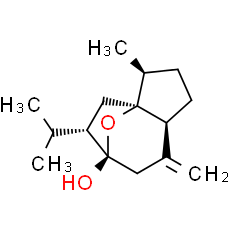 Curcumol - CAS