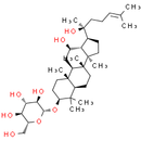 Ginsenoside Rh2 - CAS