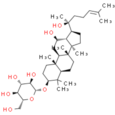 Ginsenoside Rh2 - CAS