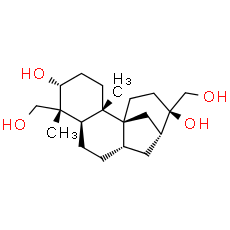 Aphidicolin - CAS