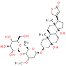 Periplocin - CAS
