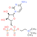 Citicoline