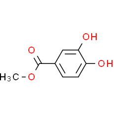 Methyl 3, 4-dihydroxybenzoate