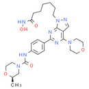 HDACs/mTOR Inhibitor 1