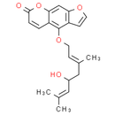 Notopterol - CAS