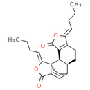 Levistolide A - CAS