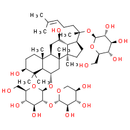 Notoginsenoside R1 - CAS